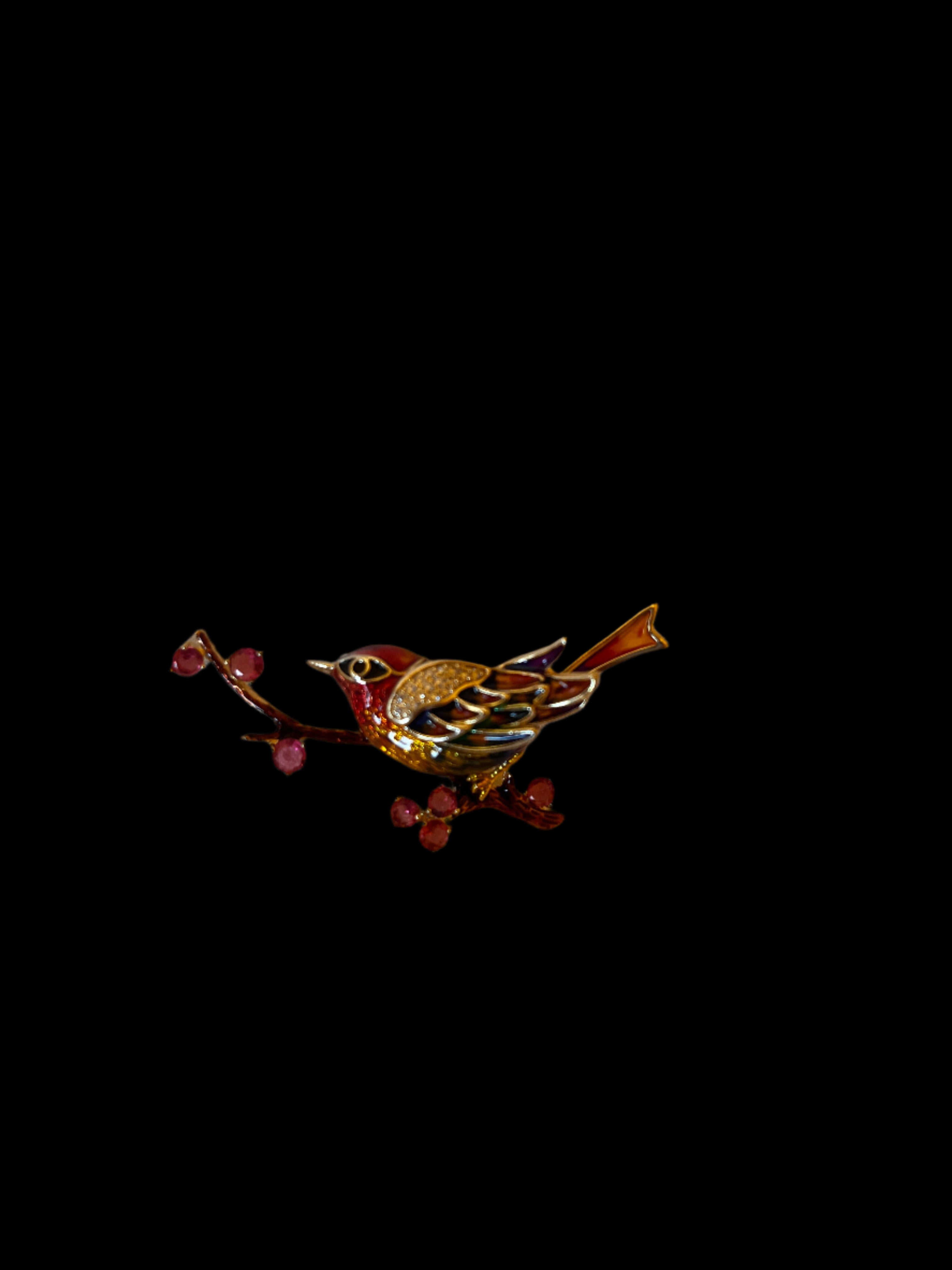 Saree Pin (Brooch)