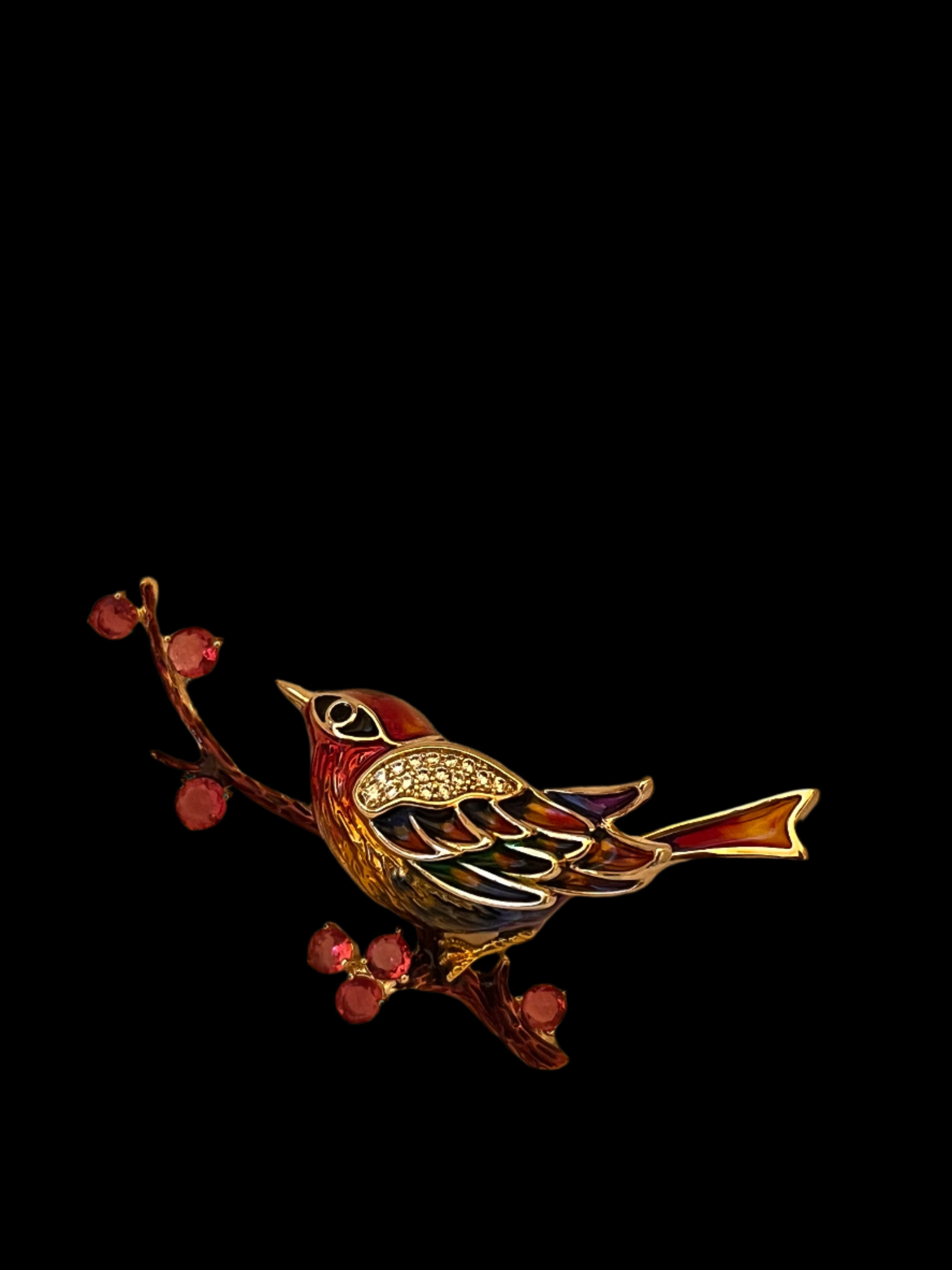 Saree Pin (Brooch)